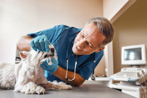 Best Emergency Tooth Extraction in Scottsburg, IN